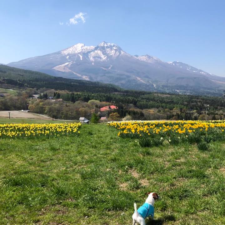 2a5cef55 d5fe 4daf b1ed 4e174acf07ca 1557735330728