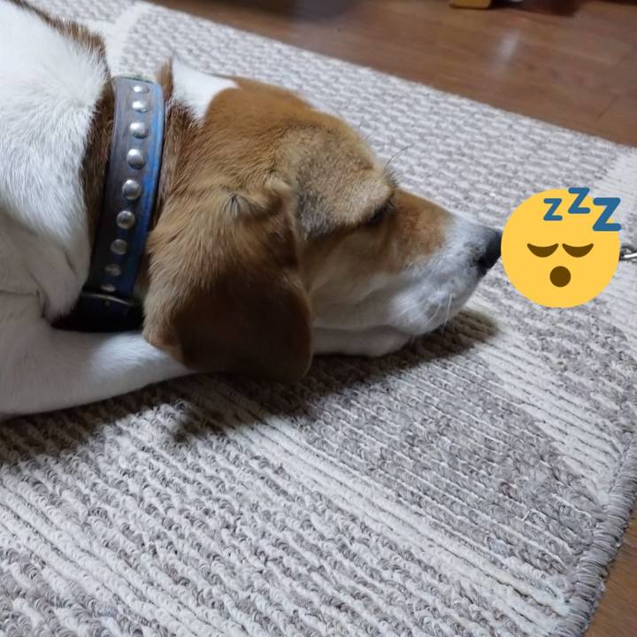 2a5d0cf8 ea52 4ec1 935c da9e07104a98 1608093294116