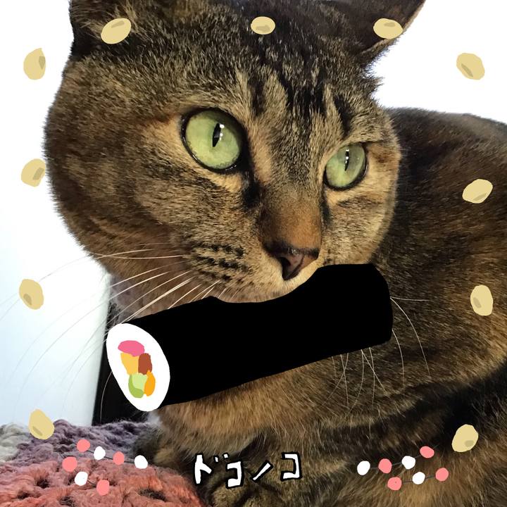 2a5d4632 c8eb 448e 92b3 5d11f68f562c 1741598032099