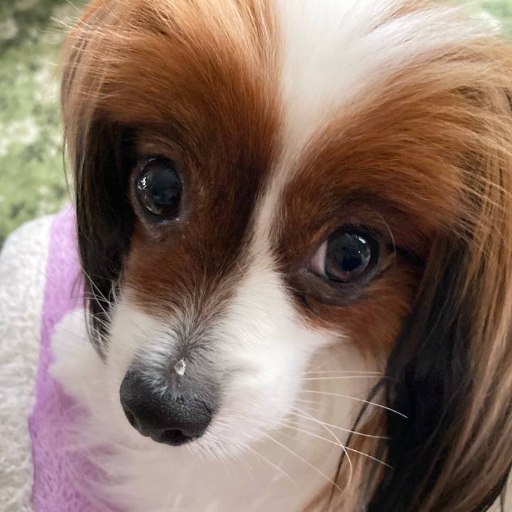 2a5d57aa 0062 48fa 8c93 a902fc0913f4 1654219161624