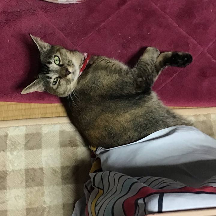 2a5d5d4a e15d 4d15 9a91 e4d435fa1652 1605605054631