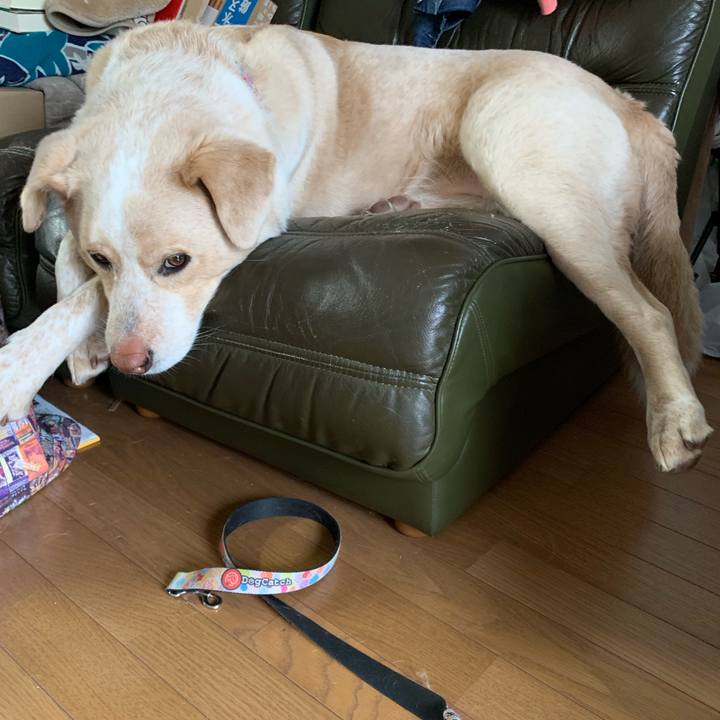 2a5d8c42 3a79 4885 98c7 638f25cf5da1 1556684652640