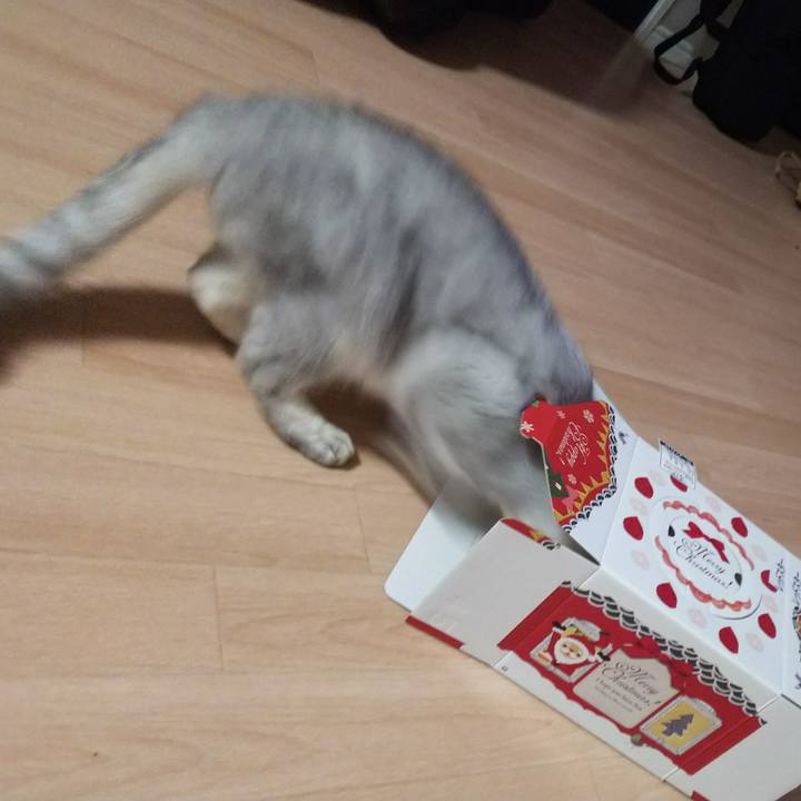 2a5d9cb6 83f5 4deb 9d20 31baac835965 1514208667422