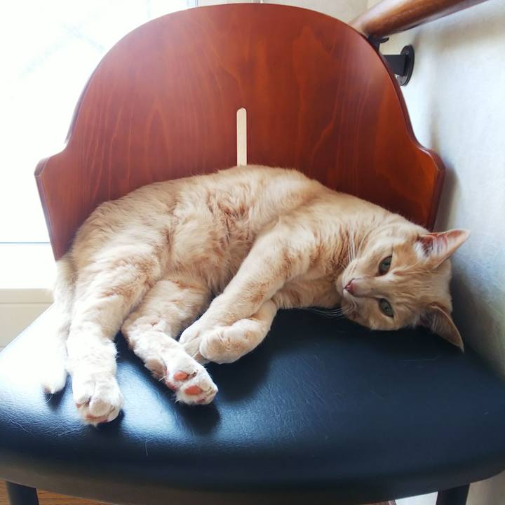 2a5d9d8e 2c63 451f 856d cef9e7b56c3d 1656137091849