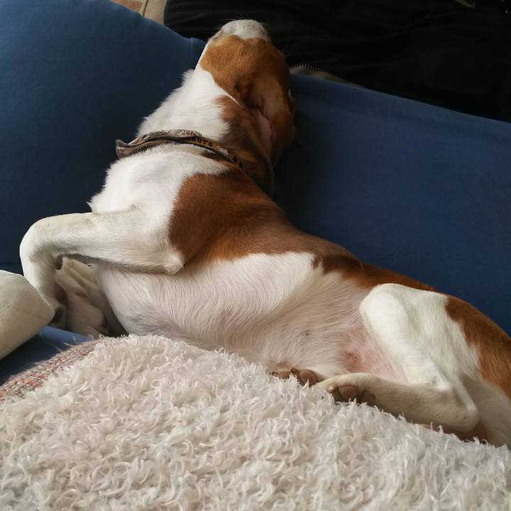 2a5d9ddf 2cf3 4bbd aba1 cc607d7d017e 1587949144929