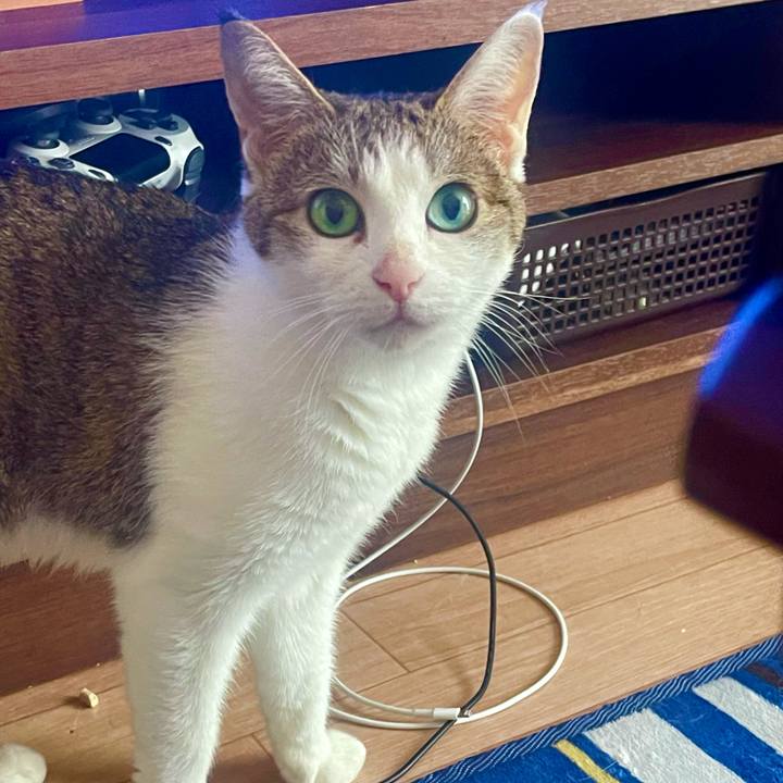 2a5daf4a 9b3e 4389 be8a 62a1b1759615 1628988968422