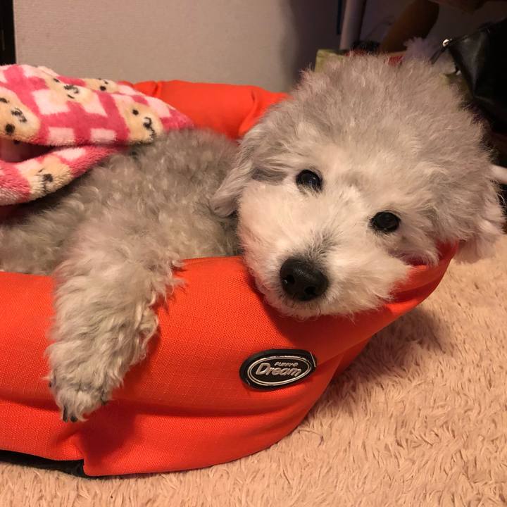 2a5dbcfc b277 4d99 9778 f0f336e7962f 1574666246462