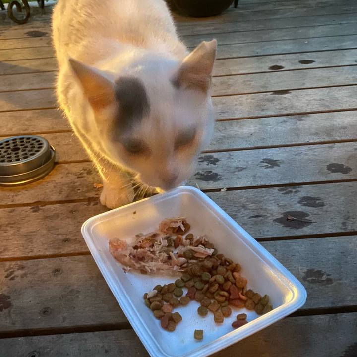 2a5e1f35 2a1f 48e0 b005 c8de943ade5a 1657793350847