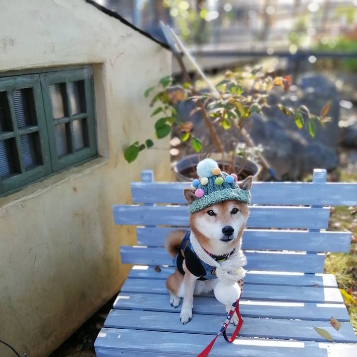 2a5e22ec 525e 4654 91fa f2e955306ec2 1669607225839