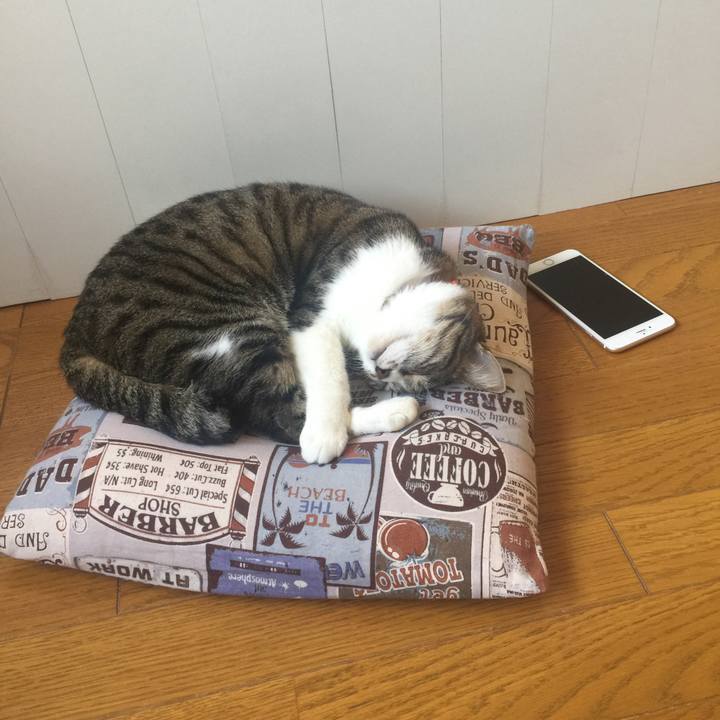 2a5e5ea2 d3a0 43ef 9a27 ec6919c68567 1557557932051