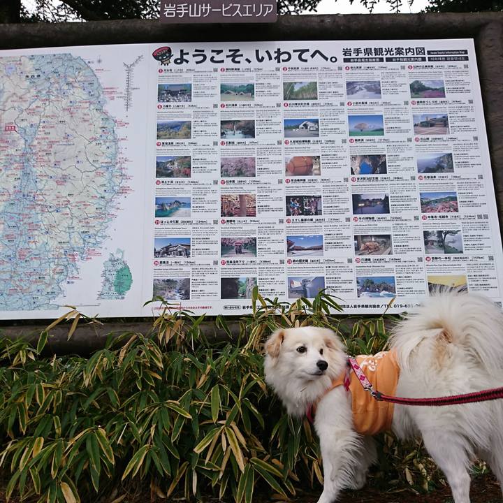 2a5eb0bf e923 4825 bcc6 a2d2ca270b69 1511504439452