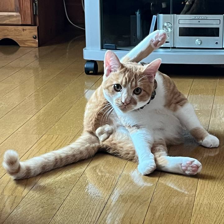 2a5ec747 f3b2 481b 8ca7 c38c436ff408 1672379623393