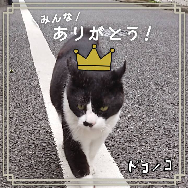 2a5ed6c8 1dc8 413f 94eb eae910f1d7cc 1623227626392