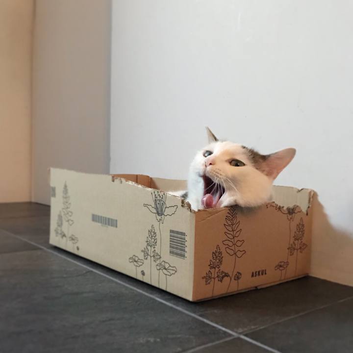 2a5eda42 f4b7 426c b221 51bfcea483b3 1559813264971