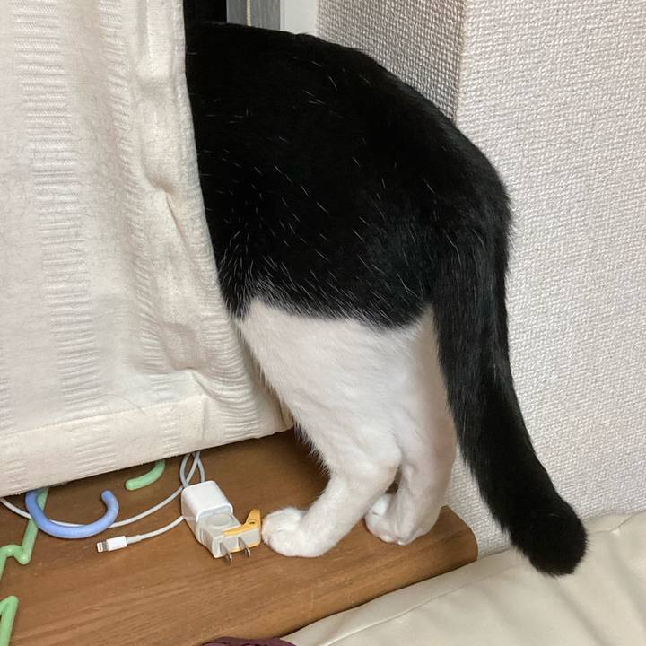 2a5eeadb 1d99 4fe7 98e2 6c1fe3d092ed 1625319406604