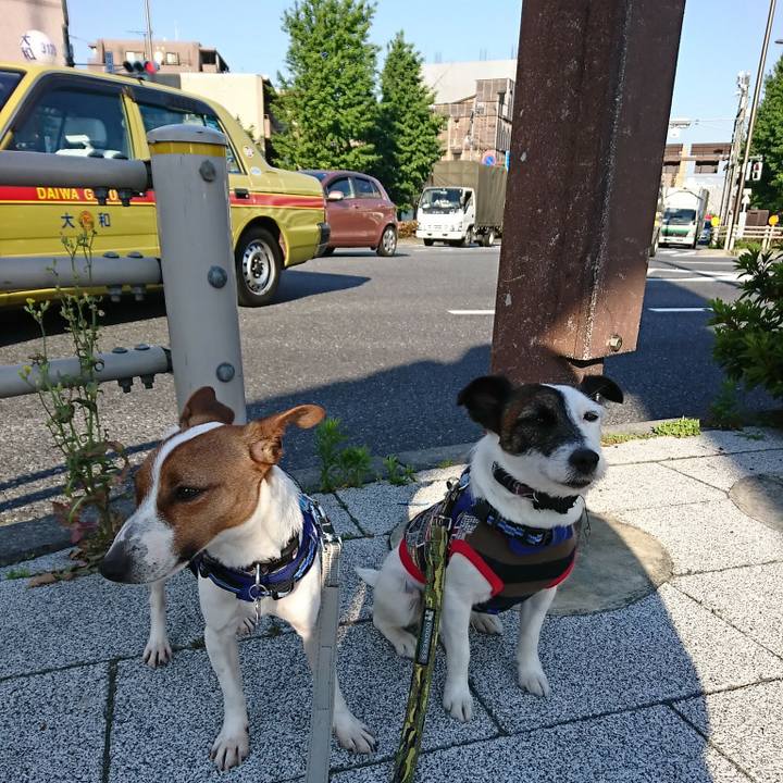 2a5f00fc a378 4cb0 ab47 e858e8f20753 1526939685355