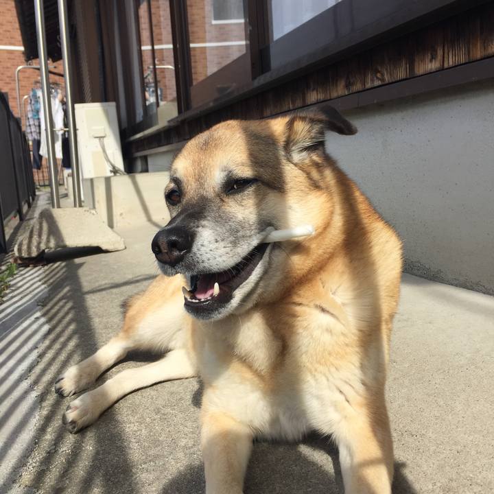 2a5f16ad 8f1d 4a50 8157 6ef2b4068f6a 1525568028991