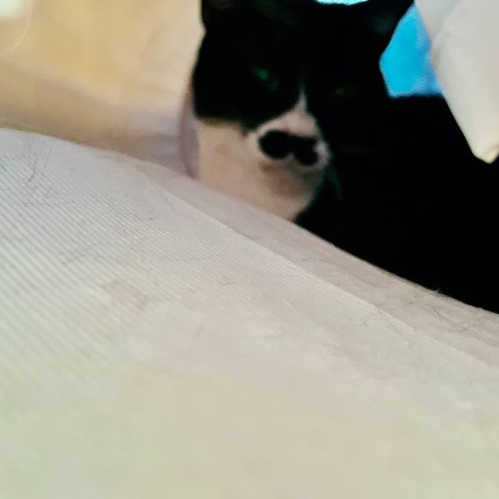 2a5f243e 6ec1 426b a409 2b157ff8fa26 1682654896115