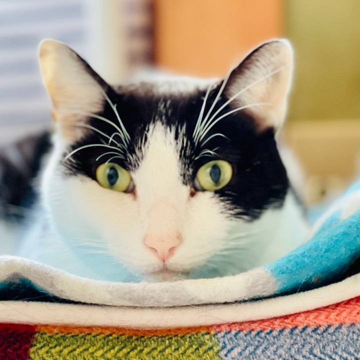 2a5f26e8 3a79 4afb 9df5 0505c0c67caf 1606184610080