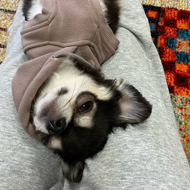 2a5f39e2 0a30 45af 89b5 f78131a69199 1682222680486