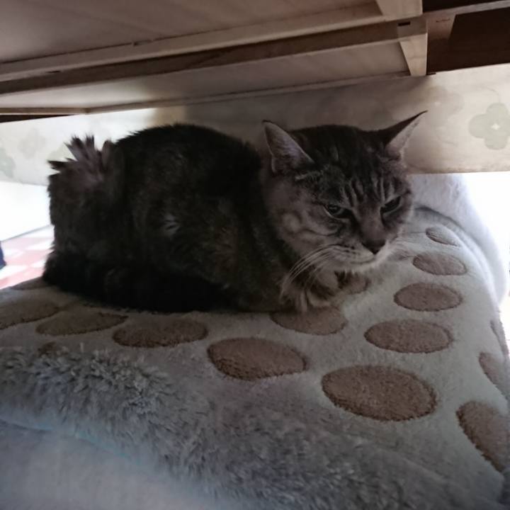 2a5f6dfc 5b21 4eac 8181 87a8737c9e51 1572904202709