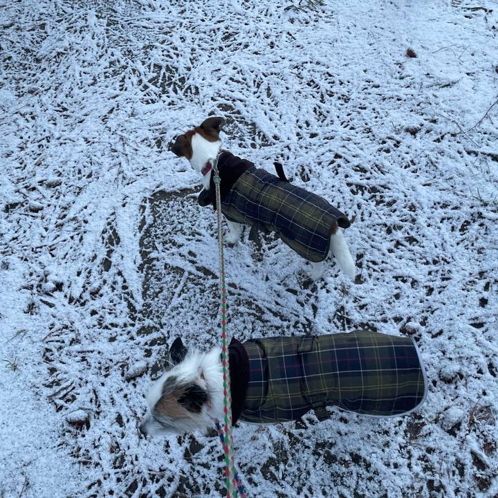 2a5f9b80 6d10 4299 aea8 b8fd7cc51612 1768183923670