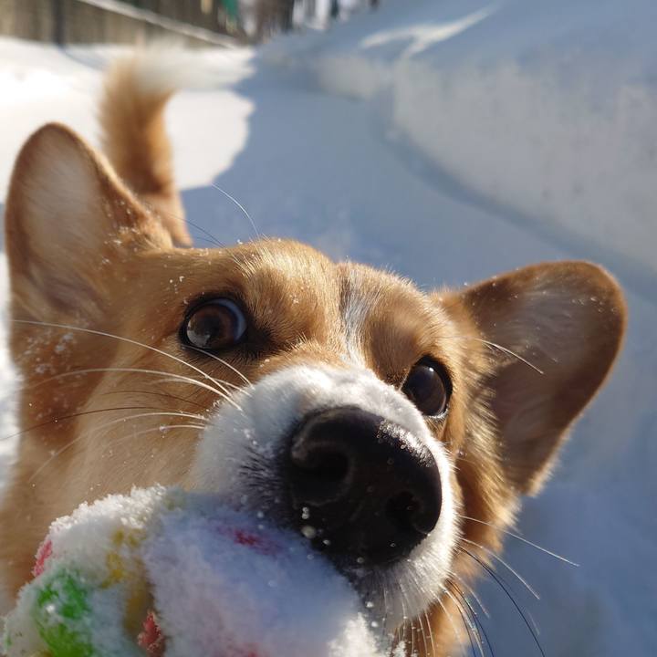 2a5fb495 0b64 41fb 8478 65f335d20b84 1768190594837