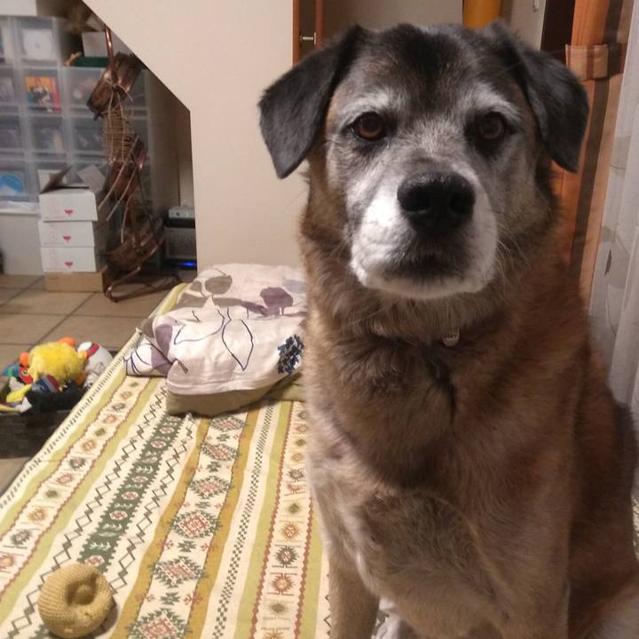 2a5fbc44 cb03 4efc 93b2 2b3c3d805901 1546686810040