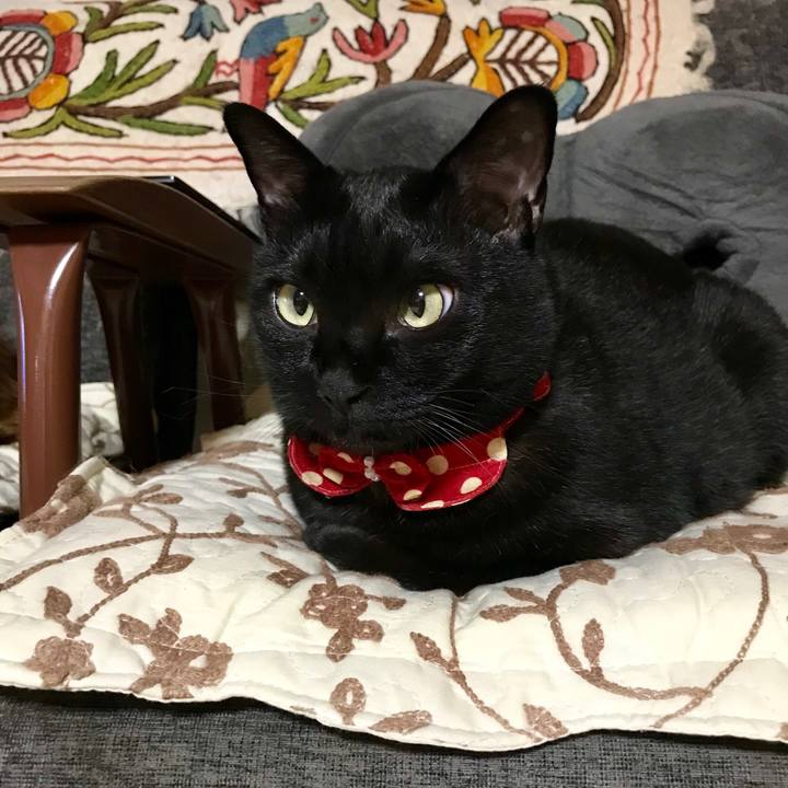 2a5fd41c 415b 4006 a2cd 040c6e1154b5 1525959888509