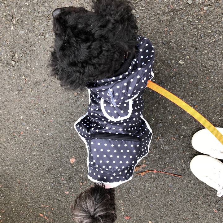 2a5fde2c e30d 452d a92d 837c01f5b0a4 1533624267286