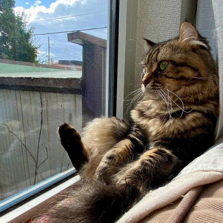 2a5fe7e9 92ad 4c62 9852 b0c7fe306d65 1668774287151