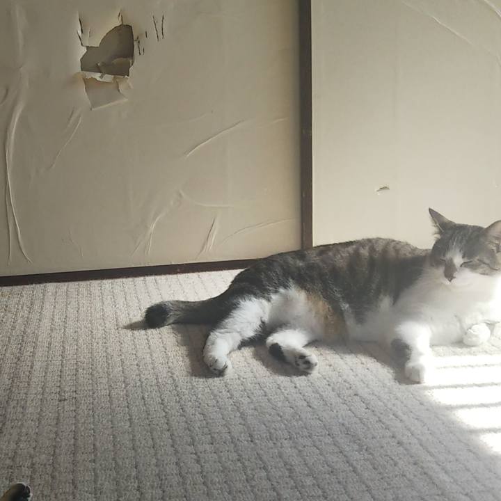 2a5fec7c e1dd 477a 991e f881f07e9b66 1610983843156