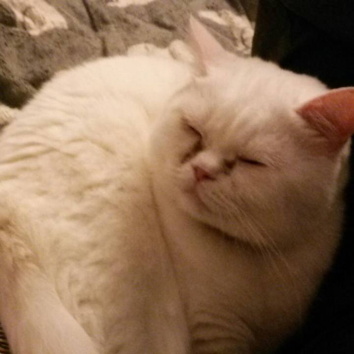 2a5fff80 38d6 41b2 88c4 8d0e1aa03b53 1535360527291