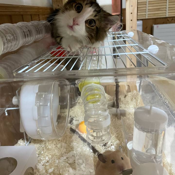 2a604507 82bf 4dc4 89ae bac8a7b85737 1635363690074