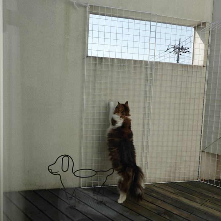 2a605523 9be5 4723 9fae f1e06595f780 1676721248511