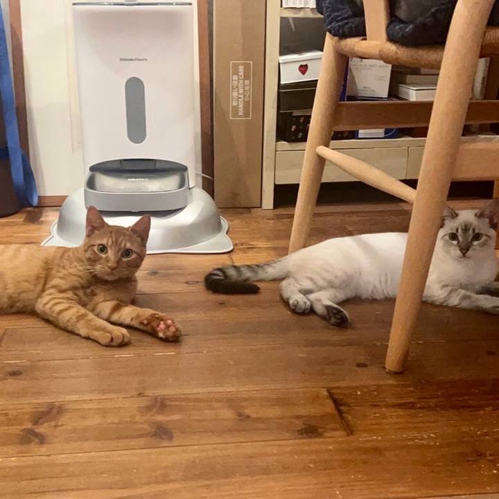 2a60758e cb38 4c21 b2d9 383f4a10b82e 1732281822685