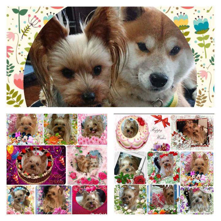 2a6079ef 1875 462f a683 a7fcf730c1af 1569819476706