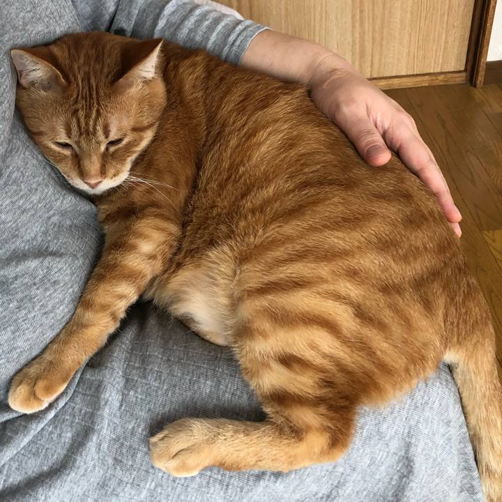 2a608ddd e7df 4112 8e16 047acdfa7ddd 1583539339824