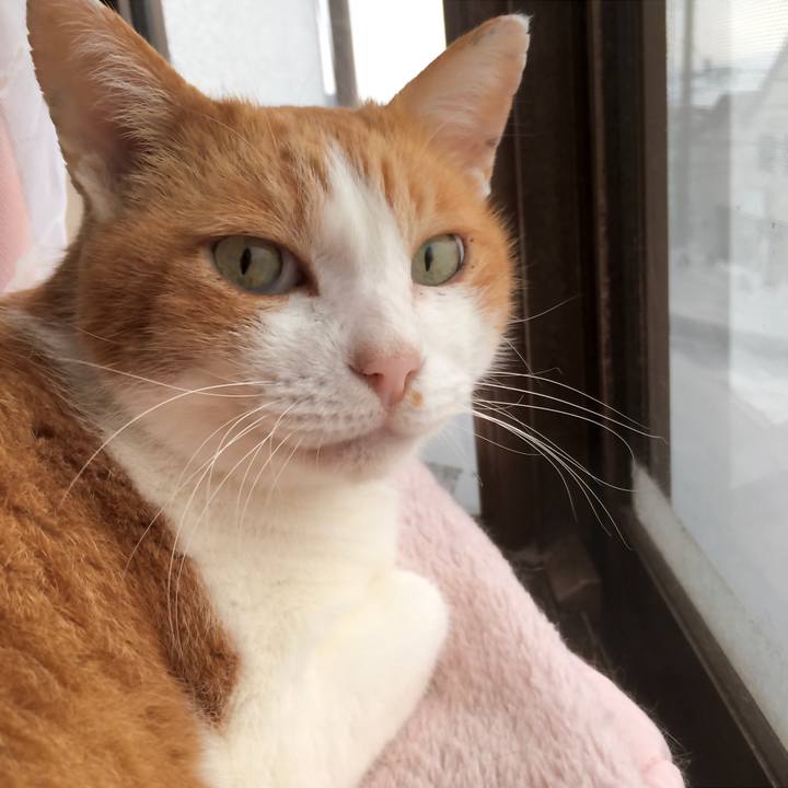 2a609313 b0c8 482b bd9a 197647deaa63 1576048623168