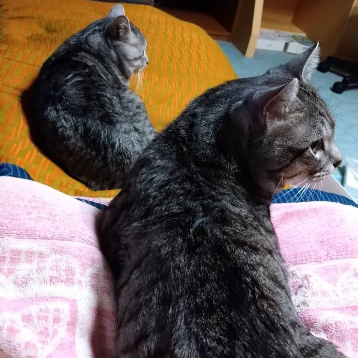 2a60cb91 0fbc 48c9 be7b c36b49d124cc 1673440977964