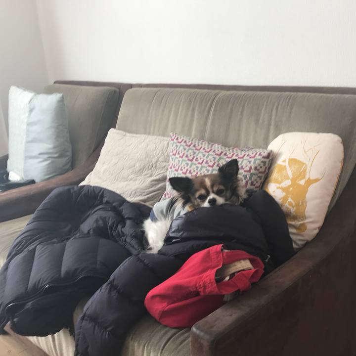 2a60fb2c eb8c 4d80 b3f3 5355e28fde10 1513917614480