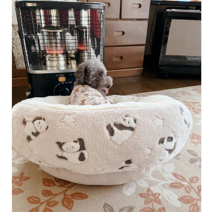 2a610097 edac 457b a3aa c2550ec3cbaf 1701298434300