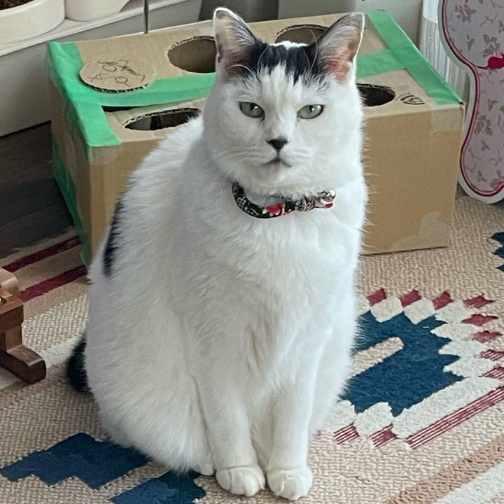 2a610784 460d 4fd5 8c4d 034298c7c54d 1736811254838