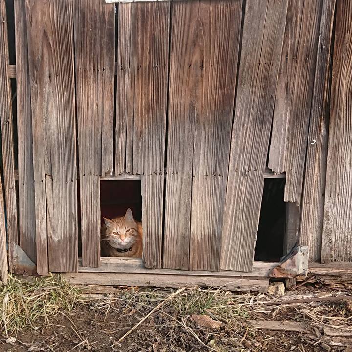 2a614478 ab6b 4316 bb8f bc6e8717f293 1646953034529