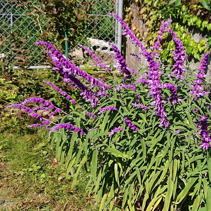 2a61ac35 197e 4c18 8d35 9900be866c11 1603238741368