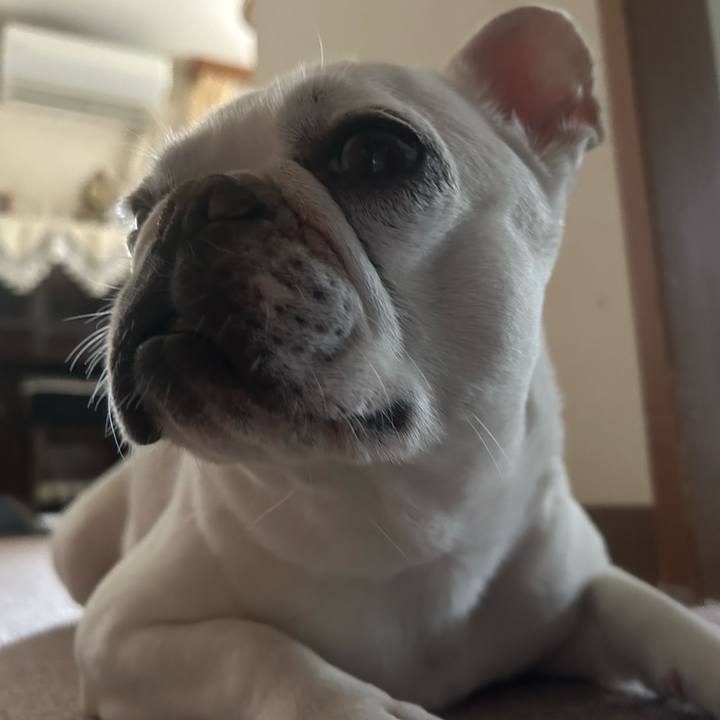 2a6204df 32c6 476f 9f2c 293e0a75d464 1720743774474