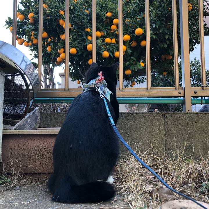 2a621044 8776 4d0d b658 d402eddd0441 1548306217708