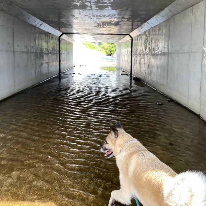 2a623a16 4ff6 453e b329 6ae243baa62c 1690114330127