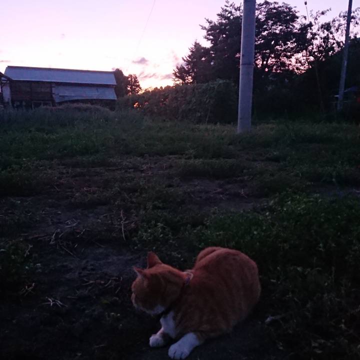 2a623f50 093c 4a76 9f24 8d303d690e06 1566812895110