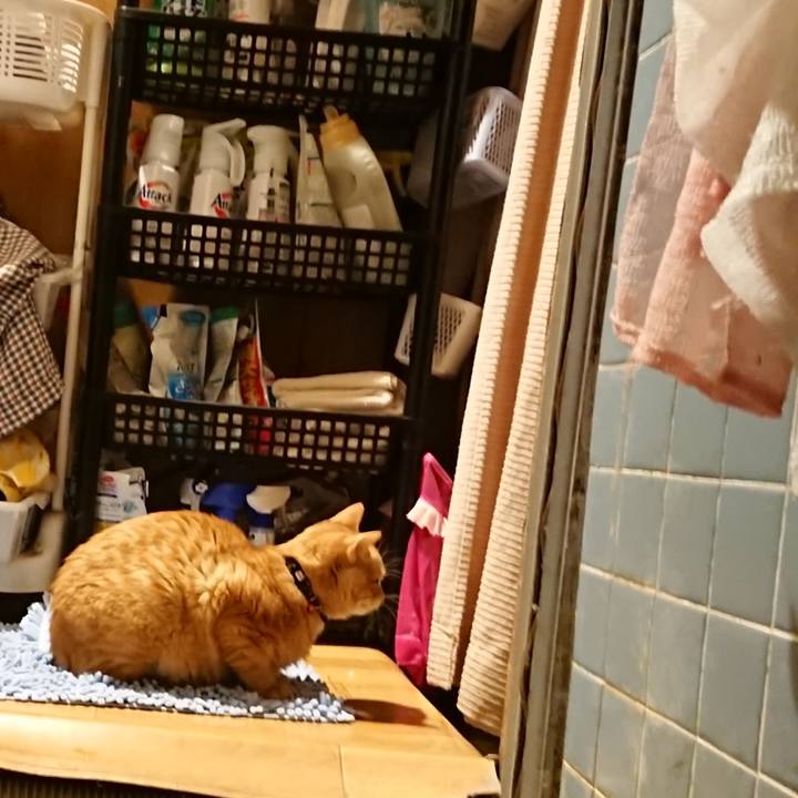 2a6249f4 f861 415f 8d38 0f623da46391 1638180029679